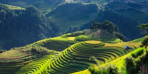 5D4N HANOI - SAPA - HALONG