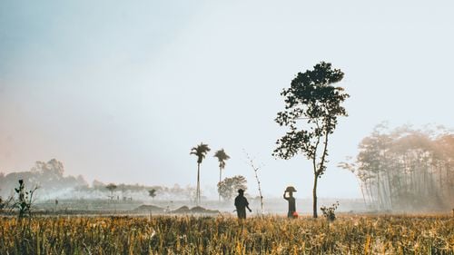 Paket 3 Hari Menginap Bersama Keluarga Ala  Lokal dengan Tur Pribadi