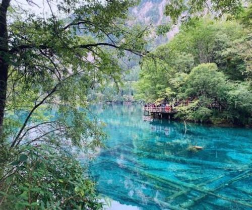 [No Shop] Tour Trùng Khánh Cửu Trại Câu – Nga Mi Sơn 7N7Đ