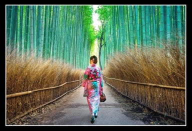 Tour Nhật Bản Cung Đường Vàng 5 Ngày 5 Đêm [khởi hành từ Hà Nội] - Image - 859