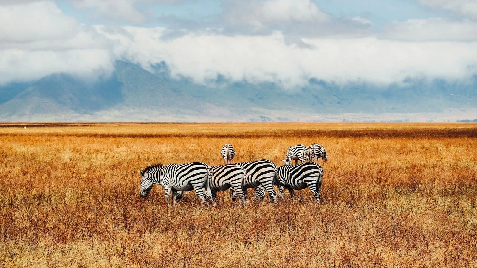 7 Days Best of Kenya safari