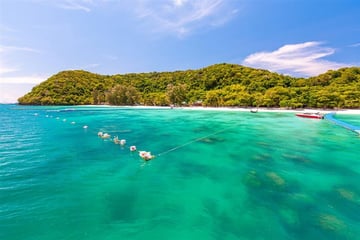 One Day Tour Phuket to Krabi by Big boat and speedboat SIC - Image - 1971