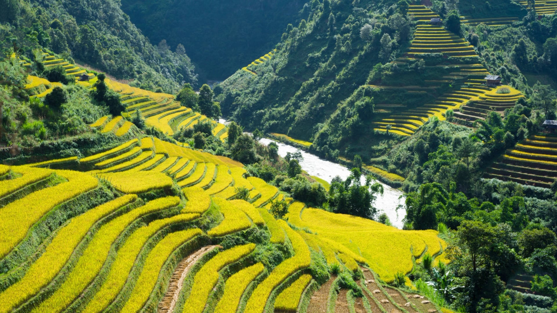 5D4N EXCITED HANOI SAPA WITH FANSIPAN PEAK