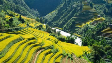 5D4N EXCITED HANOI SAPA WITH FANSIPAN PEAK - Image - 695