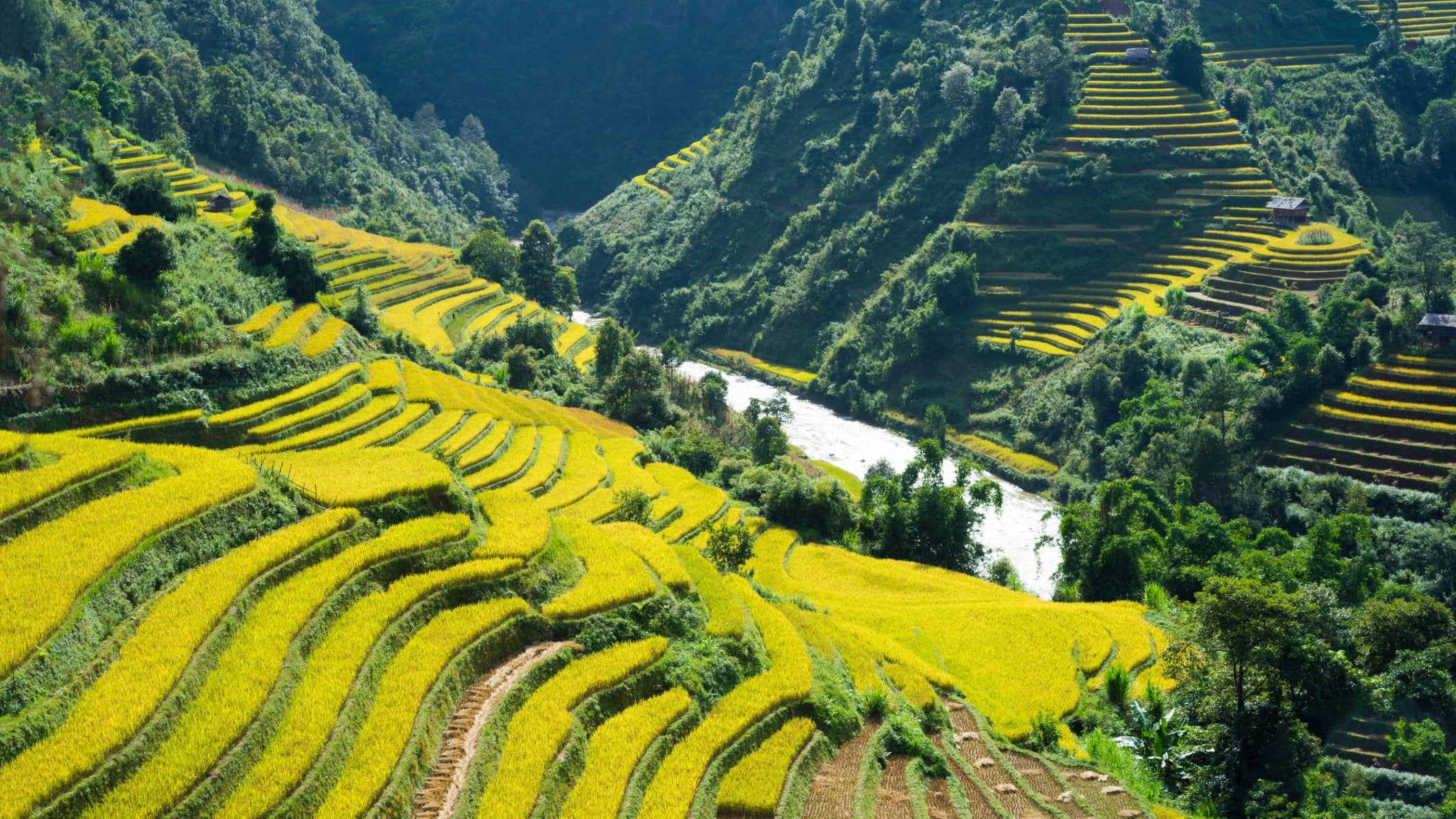 5D4N EXCITED HANOI SAPA WITH FANSIPAN PEAK