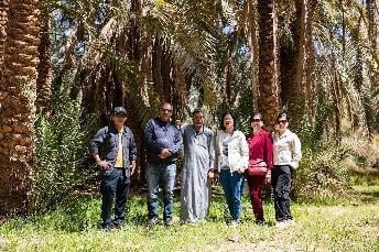 TOUR DU LỊCH AI CẬP CAIRO - BAHARIYA - LUXOR - BIỂN ĐỎ - Image - 1468