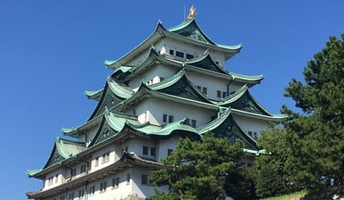 Cherry Blossom Season Tour 2024 - Image - 396