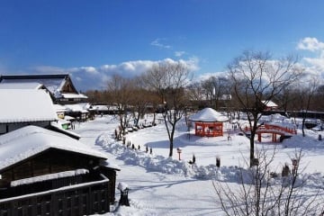 NHẬT BẢN MÙA ĐÔNG: HOKKAIDO - MIỀN TUYẾT TRẮNG THẦN TIÊN - Image - 1269