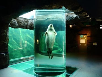 NHẬT BẢN MÙA ĐÔNG: HOKKAIDO - MIỀN TUYẾT TRẮNG THẦN TIÊN - Image - 1250