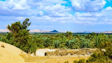 TOUR AI CẬP: CAIRO - BAHARIYA – ALEXANDRIA - ASWAN - LUXOR - BIỂN ĐỎ - Image - 10271