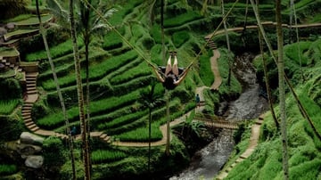 Bedugul Tanah Lot Tour - Image - 12112