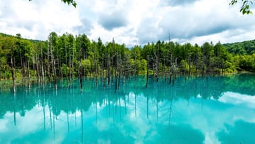 HOKKAIDO ASAHIKAWA – SAPPORO – OTARU – NOBORIBETSU 7N6Đ - Image - 10396