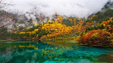 Tour du lịch Trùng Khánh - Cửu Trại Câu 5 ngày 5 đêm)  - Image - 801