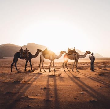 Jordan Classic Program 7 Day - Image - 2996