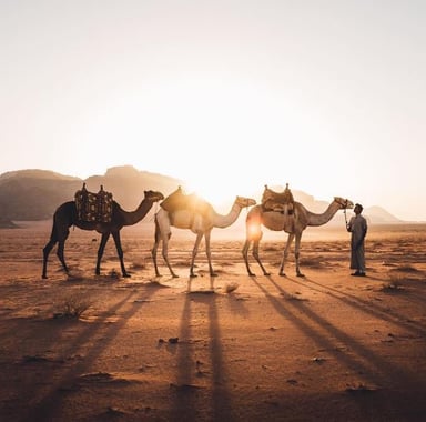 Jordan Classic Program - Image - 3008