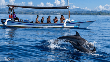 Dolphin Lovina &amp; Bedugul Tour Package - Image - 12162