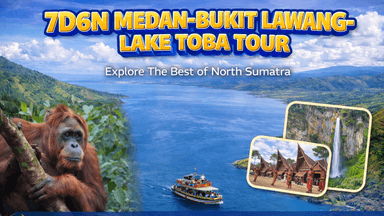 7D6N MEDAN-BUKIT LAWANG-LAKE TOBA TOUR - Image - 7469