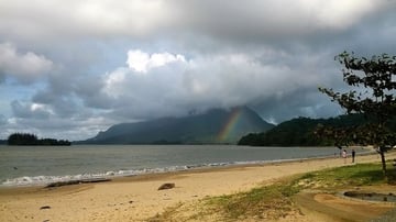 Evening Wetland National Park - Night Safari – Malaysia - Image - 11170