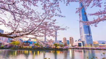 TOUR HÀN QUỐC – SEOUL - NAMI - LOTTE WORLD - YEOUIDO - HOA ANH ĐÀO - Image - 9100