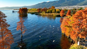 TOUR TRUNG QUỐC – LỆ GIANG – ĐẠI LÝ – SHANGRILA 6N5Đ - Image - 9341