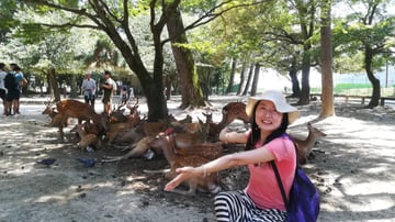 Nara Day Trip from Osaka – Local Japanese Guide - Image - 10501