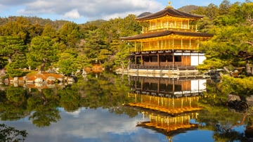 NHẬT BẢN MÙA ANH ĐÀO 2026: TP.HCM – OSAKA – KYOTO – PHÚ SĨ – TOKYO – TP.HCM 5N5Đ - Image - 10422