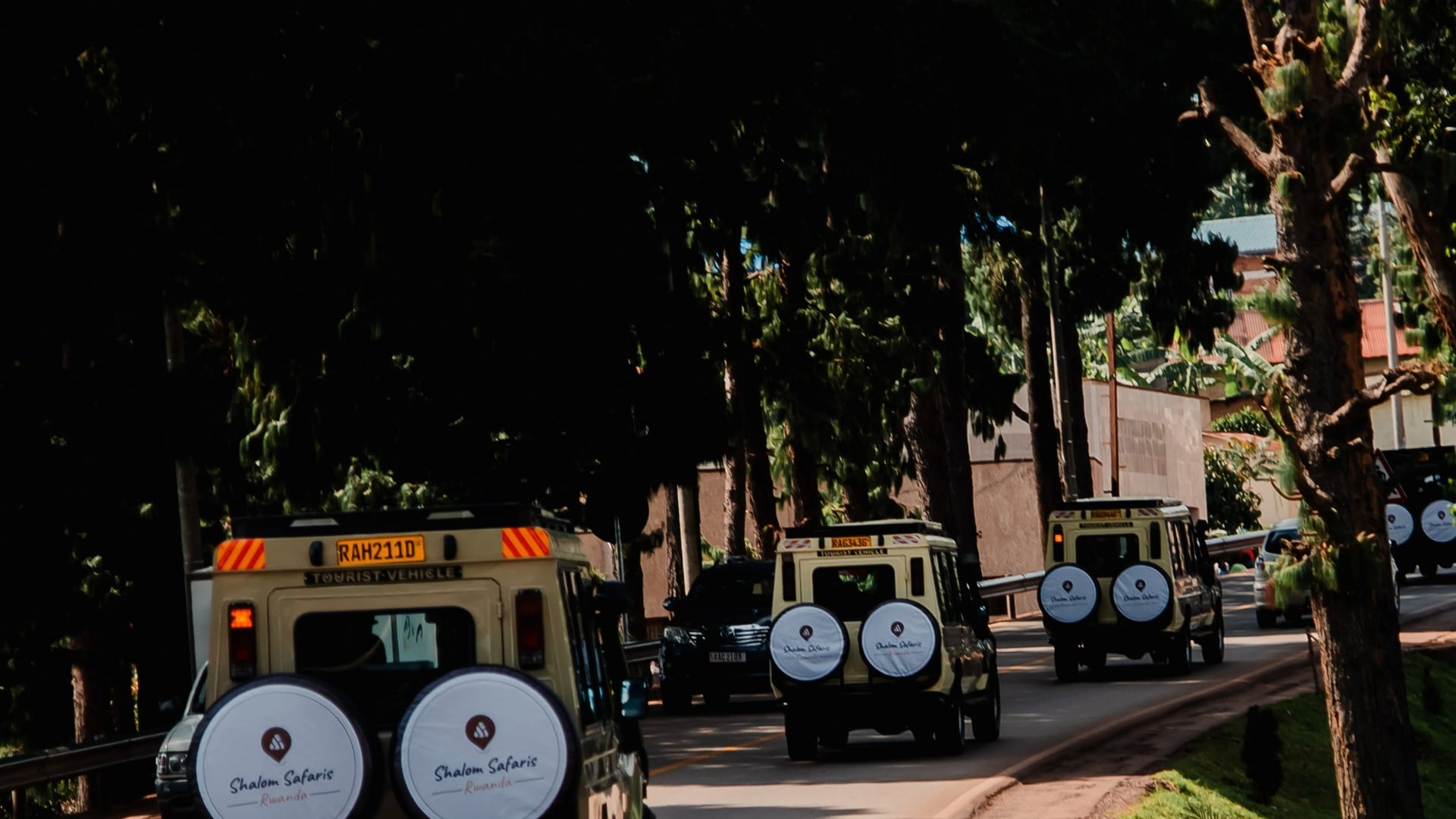 7 days Rwanda primates Safari adventure.