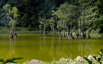 Dumaguete: Balinsasayao twinlakes nature tour with free city tour - Image - 1070