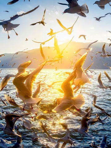 TOUR CÔN MINH - KIỆU TỬ SƠN - VƯƠNG QUỐC TÝ HON - NO SHOPPING 4 NGÀY 3 ĐÊM - Image - 4109