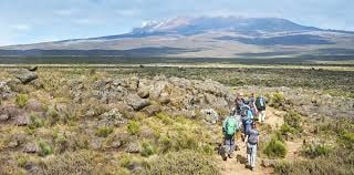 MOUNT KILIMANJARO[LEMOSHO ROUTE 7 DADYS] - Image - 3131