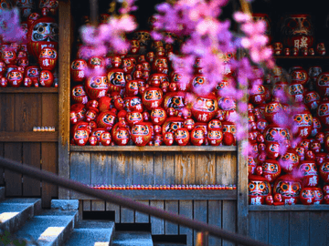 9D7N WESTERN JAPAN ODYSSEY - Image - 998