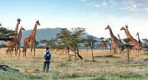 6 DAYS TANZANIA SAFARI - Image - 3415