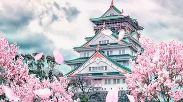 KHÁM PHÁ NHẬT BẢN MÙA HOA ANH ĐÀO 2026: OSAKA – KOBE – KYOTO – NAGOYA – NÚI PHÚ SĨ – TOKYO - Image - 9016