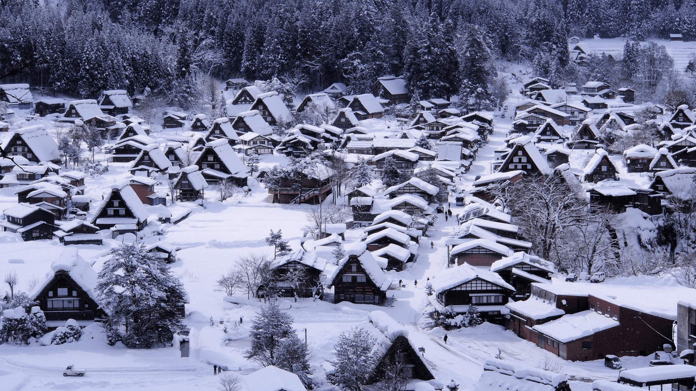 CHÀO NĂM MỚI 2026 TẠI NHẬT BẢN : OSAKA – KYOTO – SHIRAKAWAGO – TAKAYAMA – PHÚ SĨ – TOKYO - Image - 3092