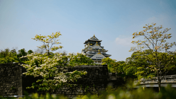 CHÀO NĂM MỚI 2026 TẠI NHẬT BẢN : OSAKA – KYOTO – SHIRAKAWAGO – TAKAYAMA – PHÚ SĨ – TOKYO - Image - 3089