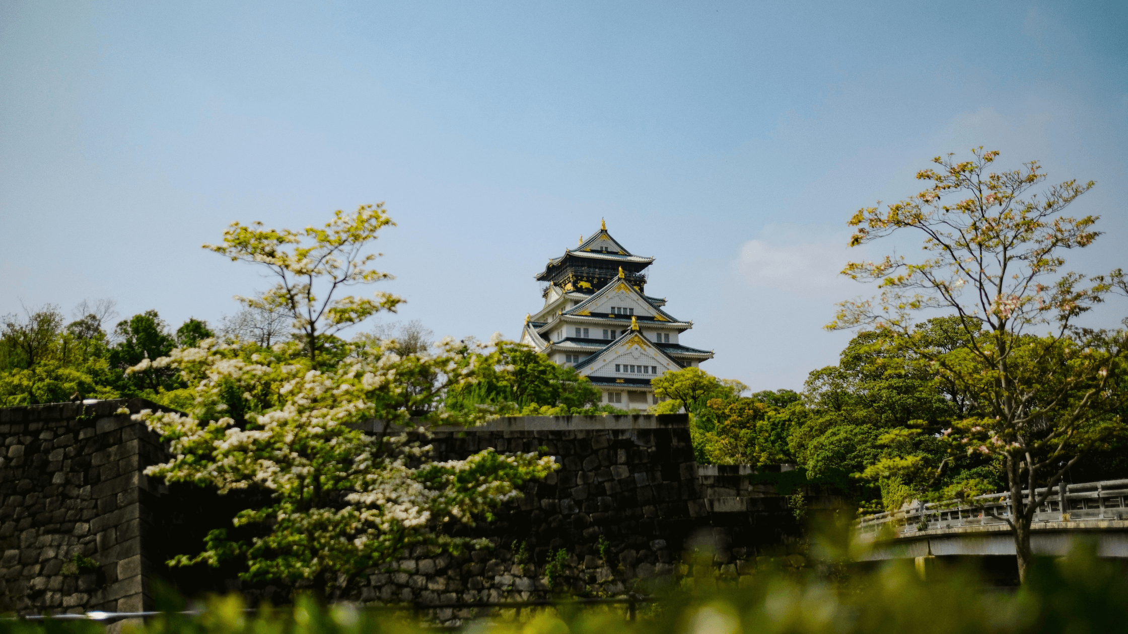 CHÀO NĂM MỚI 2026 TẠI NHẬT BẢN : OSAKA – KYOTO – SHIRAKAWAGO – TAKAYAMA – PHÚ SĨ – TOKYO