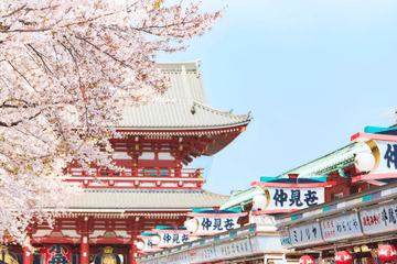 Japan Cherry Blossom Tour: Shirakawago - Tokyo - Mt. Fuji - Matsumoto - Nagoya - Image - 98