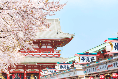 Japan Cherry Blossom Tour: Shirakawago - Tokyo - Mt. Fuji - Matsumoto - Nagoya - Image - 98