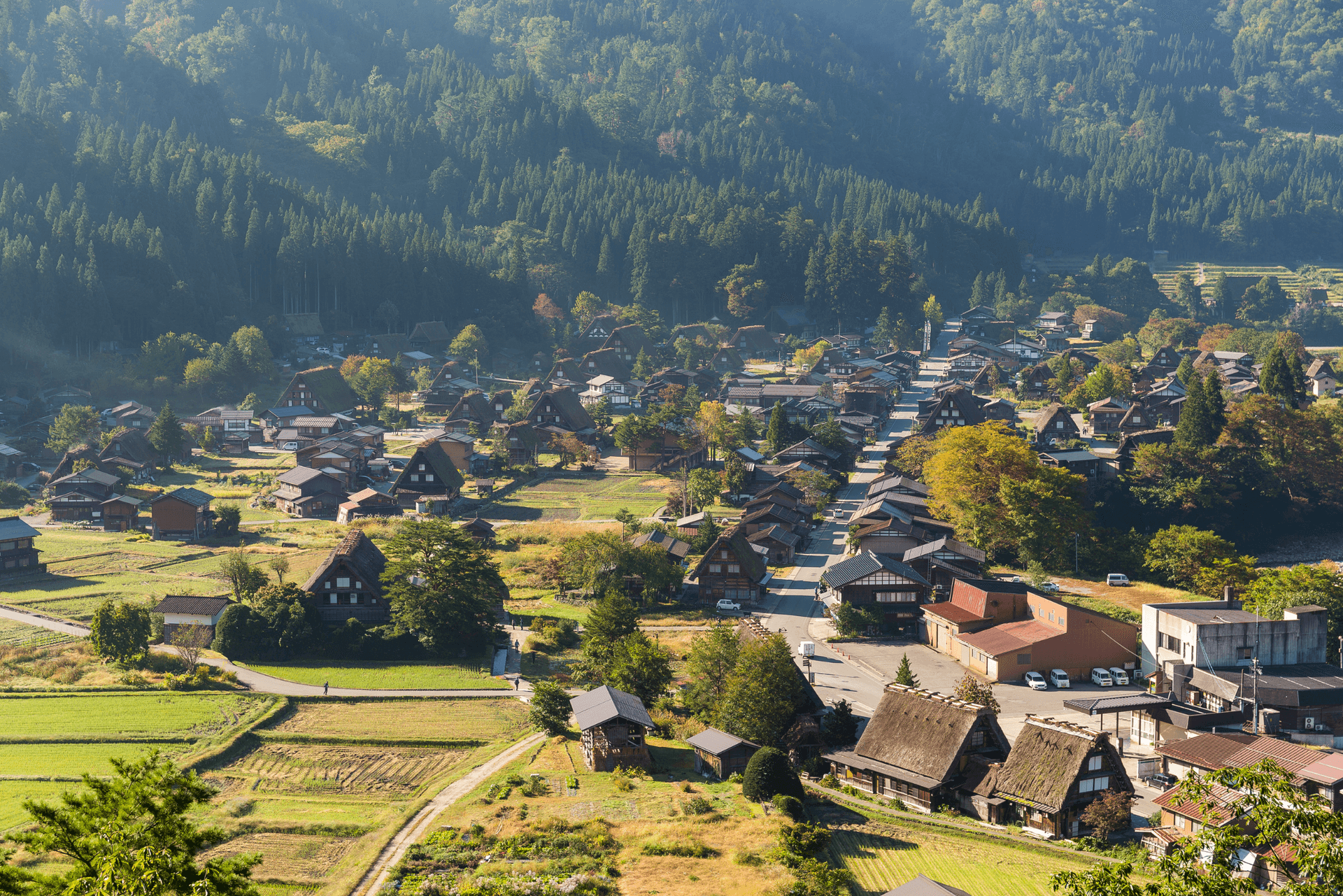 Japan Cherry Blossom Tour: Shirakawago - Tokyo - Mt. Fuji - Matsumoto - Nagoya - Image - 101