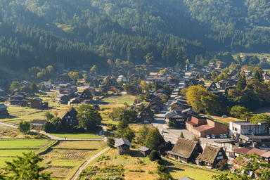 Japan Cherry Blossom Tour: Shirakawago - Tokyo - Mt. Fuji - Matsumoto - Nagoya - Image - 101