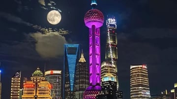 THƯỢNG HẢI - Ô TRẤN - HÀNG CHÂU - TÔ CHÂU NO SHOPPING - Image - 8395