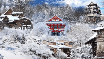 NGẮM HOA ANH ĐÀO SỚM & KẾT HỢP TRƯỢT TUYẾT  KOBE – OSAKA – KYOTO – PHÚ SĨ – TOKYO - Image - 4868