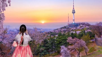 TOUR HÀN QUỐC – SEOUL - NAMI - LOTTE WORLD - YEOUIDO - HOA ANH ĐÀO - Image - 9099