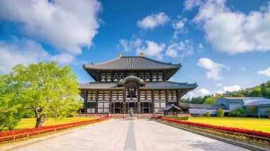 OSAKA – KYOTO – NAGOYA - MOUNT FUJI – TOKYO - Image - 580