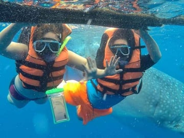 Dumaguete: Oslob whale watching - Image - 1085