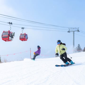 CÁP NHĨ TÂN - KHÁM PHÁ GIẤC MƠ TUYẾT TRẮNG - Image - 2511