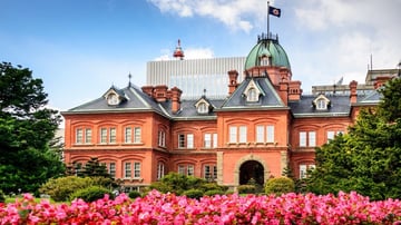 Tour Nhật Bản Ngắm Hoa Anh Đào: Hokkaido - Sapporo - Furano - Otaru - Toya - Image - 334