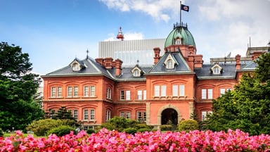 Cherry Blossom Viewing Tour in Japan: Hokkaido - Sapporo - Furano - Otaru - Toya - Image - 334