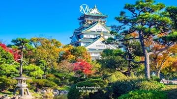 Autumn Japan Tour 2025: Osaka – Nara – Kyoto – Nagoya – Yamanashi – Tokyo - Image - 601