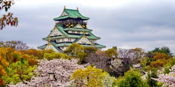 Japan Tour 6 Days 5 Nights Summer (Vietjet Air) - Image - 632